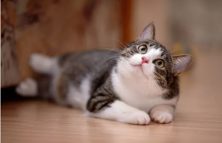 УƮ˼.....