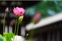 ��������������