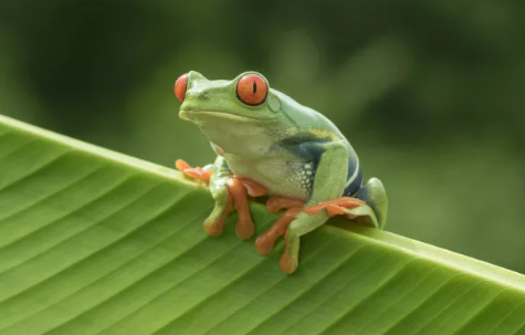 ˼Ʈ