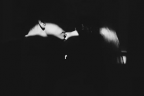 ֪Ұ