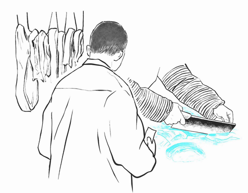 �����������