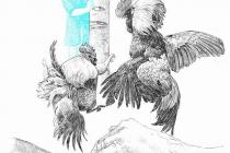 ��������