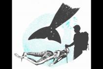 ���������������