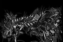 ��������������