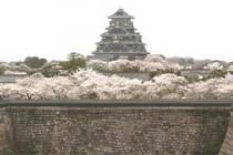 ������������������