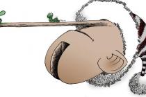 ŵĻþ