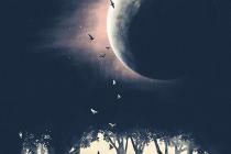 �Ҳ�����һ������΢��