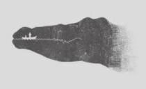 ���һ�ۿ�������ʲô