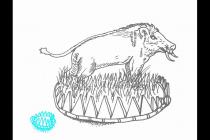 ����������