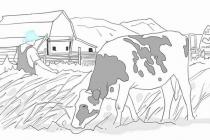 �ڲ��˹����ũ������ֲ���Щ������衱