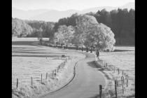 ��������·���������������ʲô