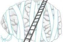 �Ա��������С�������ҡ�