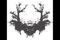 ͼƬ��ʲô����������ڵĽ���ָ��