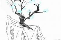 ��͵�����