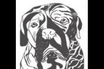 ���������ԡ�����ʱ�г�����