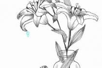 ��������������