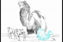 ������ʳ