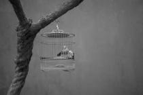 ��۵ĸ�¥�����ݵĴ���