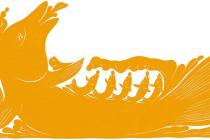 ��������Ӳ��ó�