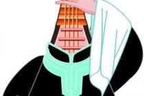 ˵