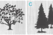 �Ŀ���ѡһ�ã�������Ը�������©��