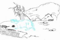 ��������