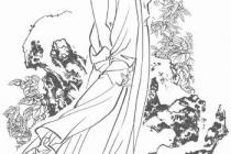 �����ǣ���ʡ�͵�����