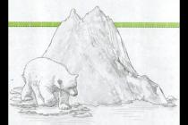 ����������