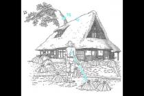 �ձ���Ϊ�β�ϲ���ּҲ�