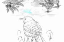 �Ҹ����ڸ�˹�����