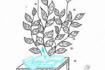 ����������