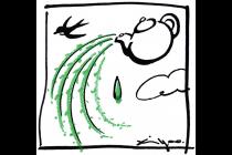 �������������