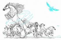 ��Ⱥ�ڰ�������