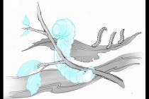 һ���������׵�ëë��