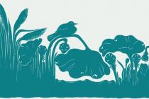 ��������