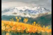 ��������