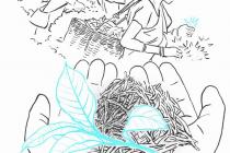 Ӣ������͵�����й��Ĳ�