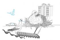 ��������򷿽��ǣ�������û��