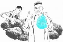 ����������ʵ���������ɵ��ˣ�����̩��