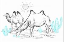 ��������������