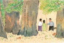 ��������