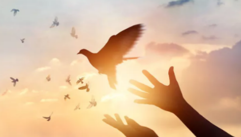 ��������