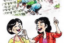 ��������