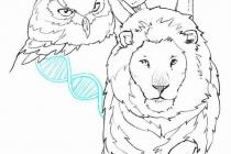 ����������