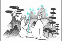 ��������