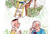 ����������