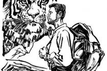 ��������