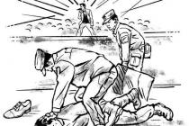 ����������