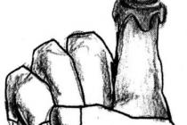 ʼͽ